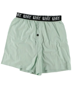 Trophy Husband Men's Funny Boxer -Lazyone Shop B366 WEB FL1F01 30911.1697032404