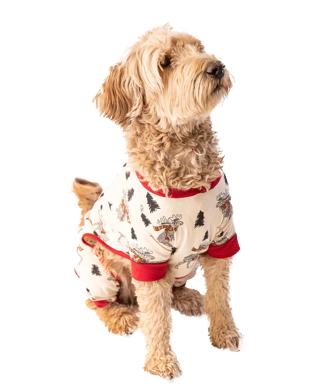 Moosletoe Dog Onesie Flapjack 1 Moosletoe Dog Onesie Flapjack