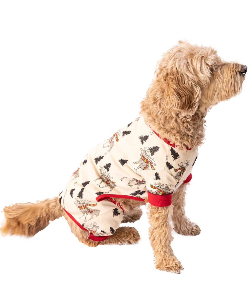 Moosletoe Dog Onesie Flapjack 3 Moosletoe Dog Onesie Flapjack - Image 3