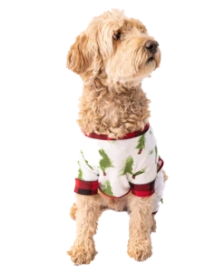 Evergreen Plaid Dog Onesie Flapjack 8 Evergreen Plaid Dog Onesie Flapjack -Lazyone Shop DFJ984 WEB MS1 F01 12354.1697033713