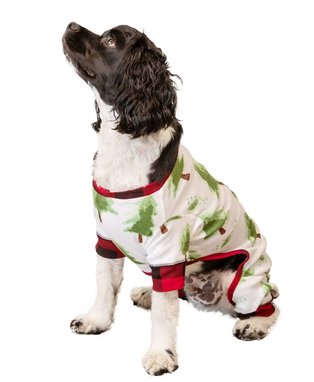 Evergreen Plaid Dog Onesie Flapjack 2 Evergreen Plaid Dog Onesie Flapjack - Image 2