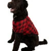 Red Plaid Dog Shirt