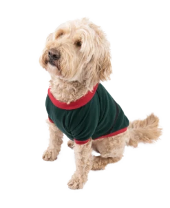 Front Page -Lazyone Shop DS421 WEB MS1F01 79044.1697033134