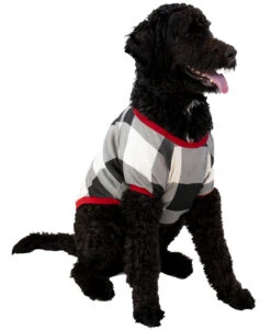 Truck Plaid Dog Shirt -Lazyone Shop DS856 AMZ MS1F01 77463.1697033076