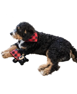 Plaid Bear Dog Toy -Lazyone Shop DT358 WEB MS1F01 36196.1697033460